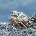 Photo taken by Jason P