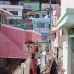 Photo taken by John K