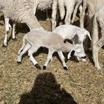 Photo taken by Rajgopal I