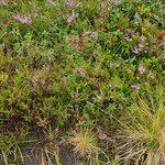 Photo taken by Tamara N