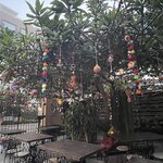 Photo taken by Anna Mae R