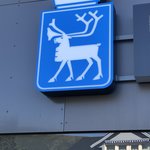 Tromso seal | Photo taken by florence P