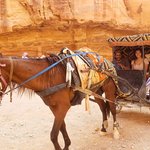 Petra | Photo taken by Janette M