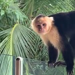 Photo taken by Karen P