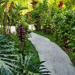 Photo taken by Kathy K