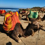 Photo taken by James P