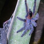 Photo taken by Jeff G