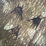 Photo taken by Michelle D