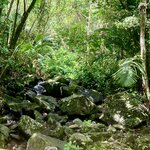 Photo taken by john b