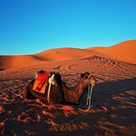 Photo taken by Adrien C