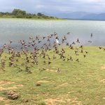 Photo taken by Sylvanna C