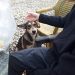 Photo taken by Graham W