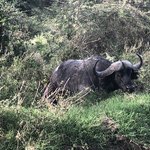 Photo taken by Virginia H