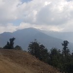 Photo taken by Amy S