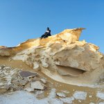 Photo taken by Stephen A