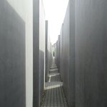 Photo taken by Judy B