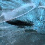 Photo taken by Cyd T