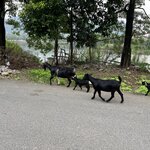 Photo taken by kim b