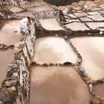 Each family of the community owns a few pools | Photo taken by Susan D