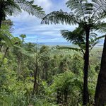 Photo taken by Cindy H