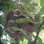 Photo taken by Anna L