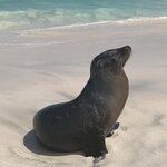 Photo taken by Stephanie A