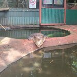 Photo taken by Kaitlin J