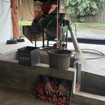 Photo taken by Sarah C