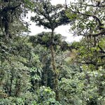 Photo taken by Hannah S