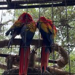 Photo taken by Charles H