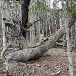 Photo taken by Mike C