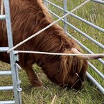 Photo taken by Drew M