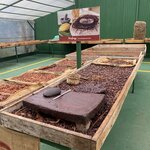 Photo taken by Donna G