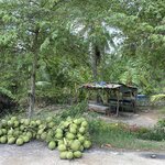 Photo taken by Jacqui O