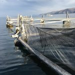 Photo taken by alton r