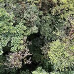 Photo taken by Ben B