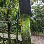 Photo taken by Jane K