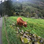 Photo taken by Gregg J