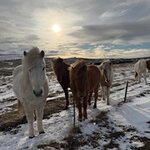 Photo taken by Lisa T