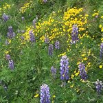 Photo taken by Daniel K