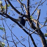 Photo taken by Luke T