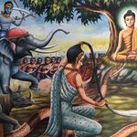 Photo taken by Shaula L