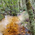 Photo taken by Dianne W