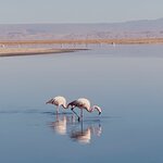 Photo taken by RENU J