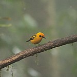 Photo taken by Marcia G