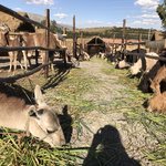 Photo taken by Ashley V