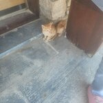 Photo taken by Jennifer L