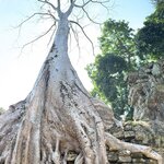 Photo taken by Howard K