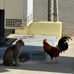 Photo taken by Don M