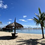 Photo taken by Edit M